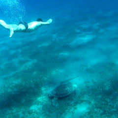 Вадим Закомолдин, 17.08, Москва