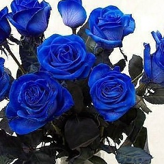 Назгуль Нанбекова, 01.02.1990, Омск