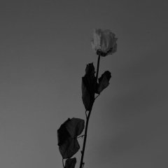 Гузалия Рахметова, 01.04.1994, Алматы