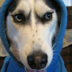 Баглан Конысов, 03.06, Алматы