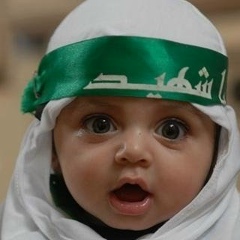 Камил Хабибуллаев, 17.05.1995, Алматы