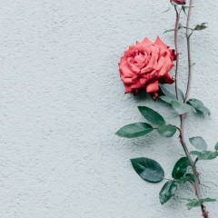 Лиана Яркинбаева, 03.02.1986