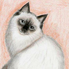 Ольга Удалова, 18.11.1974, Коряжма