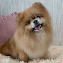 Анастасия Витальевна, 30.01.1991, Санкт-Петербург