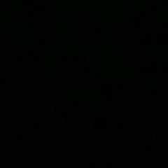 Николай Шаулин, Санкт-Петербург