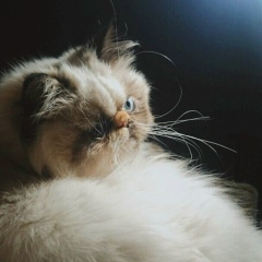 Юля Павлова, 03.08, Санкт-Петербург