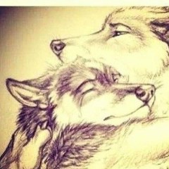 Улукбек Саулебаев, 15.11.1989, Кызылорда