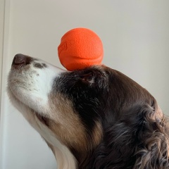 Ольга Цубикс, 08.04