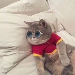 Владимир Алексеевич, 05.06