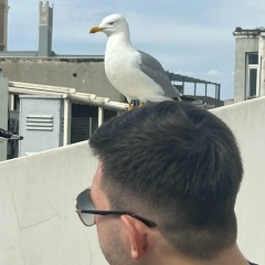 Сергей Расулов, 21.05, Москва