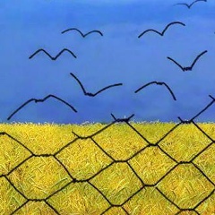 Олександр Кудлаенко, 21.03.1983, Винница