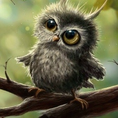 Никита Сова, 16.02.1990