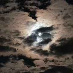 Денис Горбунов, 25.02, Москва