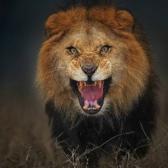 Ибрагим Ганиев, 30.03, Москва