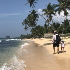 Денис Маямитов, 12.01