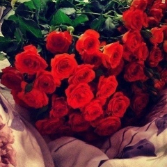 Дианка Карари, Москва