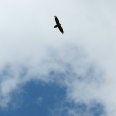 Сергей Попов, 01.07