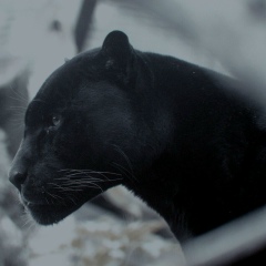 Паргев Карапетян, 27.05, Тюмень