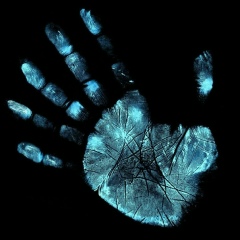 Александр Гончаров, 25.04