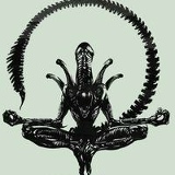 Максим Задиракин, 31.10, Чугуев