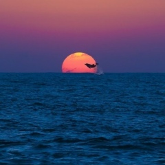 Салтанат Акынжан, 25.01, Актобе