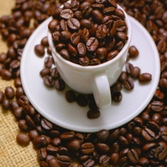 Сабуи Гасанов, 26.09, Санкт-Петербург