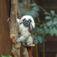 Сергей Ольховский, 04.09, Харьков