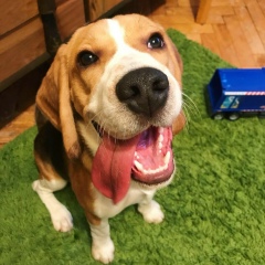 Максим Карпов, 06.02