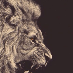 Ельдар Байниетов, 31.07, Nürnberg