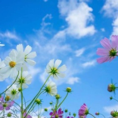 Thazin Mon Mon, 12.01.1988