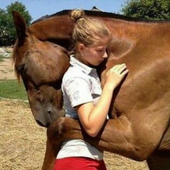 Мал-Саудасы Мал-Саудасы