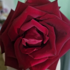 Ирина Кононенко, 05.11, Севастополь