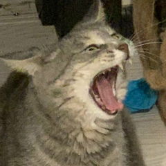 Лиза Бахвалова, 21.04.2005, Владимир