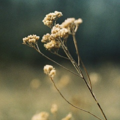 Марина Гопка, 13.03