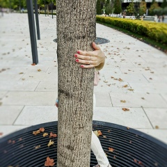 Яна Шеховцова, 09.02, Краснодар