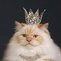 Виктория Милованова, 13.09, Москва