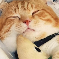 Таня Киоссе, 28.06.1999, Томск