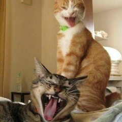 Даниил Даньков, 21.06, Луганск