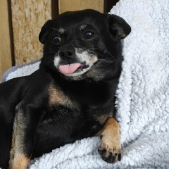 Əsgər Əliyev, 13.02