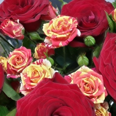 Маржан Маденова, 25.06.1987, Алматы