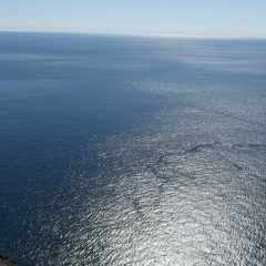 Олег Трубецкой, Санкт-Петербург