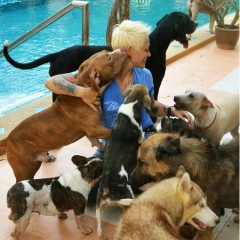 Олеся Ян, 21.04, Ko Pha-ngan