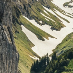 Денис Татемов, Калининград