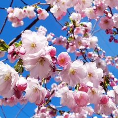 Ирина Дыдыкина, 13.09.1978, Санкт-Петербург