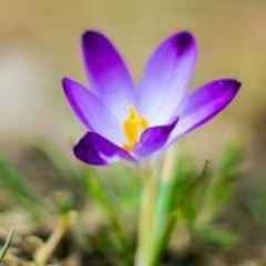 Алёна Марчукова, 14.03.1986, Воронеж