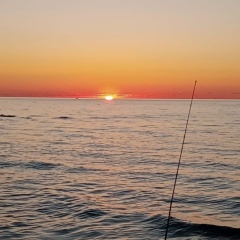 Tatyana Verner, 31.10.1998, Карабулак