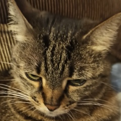 Андрей Бизин, 07.02.1993, Москва