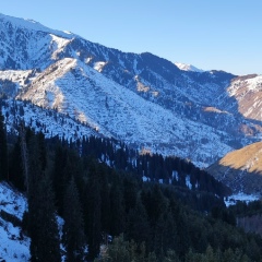 Радмир Уласанов, 15.03, Алматы