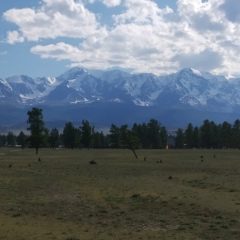 Сергей Шипицын, Санкт-Петербург