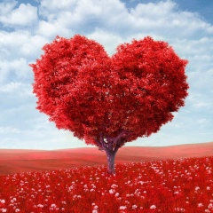 Екатерина Запорожец, 21.03, Одесса